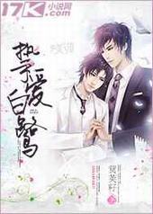 挚爱白鹭 挚爱白鹭