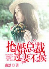 抢婚总裁过妻不候 抢婚总裁过妻不候