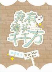 我有墙头千千万 我有墙头千千万