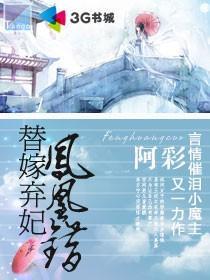 凤凰错:替嫁弃妃 凤凰错:替嫁弃妃