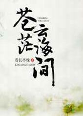 苍茫云海间 苍茫云海间