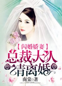 闪婚娇妻:总裁大人请离婚 闪婚娇妻:总裁大人请离婚