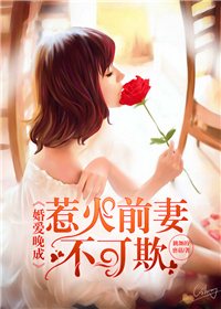 婚爱晚成,惹火前妻不可欺 婚爱晚成,惹火前妻不可欺