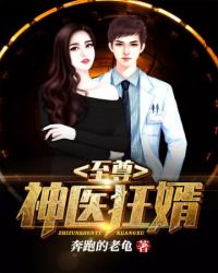 至尊神医狂婿 至尊神医狂婿