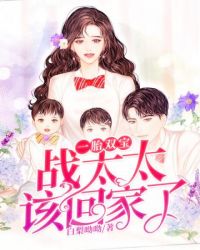 一胎双宝战太太该回家了 一胎双宝战太太该回家了