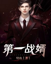 第一战婿 第一战婿