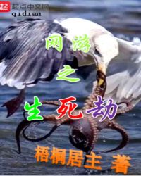 网游之生死劫 网游之生死劫