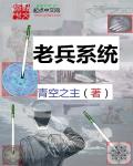 老兵系统 老兵系统