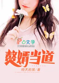 入赘为婿 入赘为婿