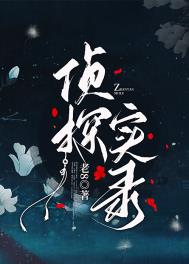 侦探实录 侦探实录