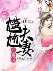 红楼之尴尬夫妻 红楼之尴尬夫妻