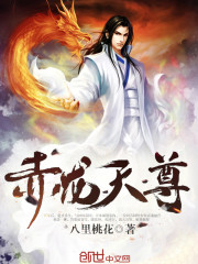 赤龙天尊 赤龙天尊