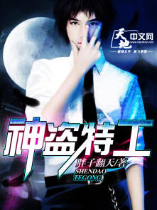 神盗特工 神盗特工