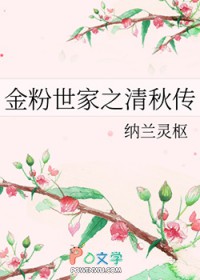 金粉世家之清秋传 金粉世家之清秋传