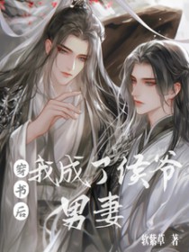 穿书后我成了侯爷男妻 穿书后我成了侯爷男妻
