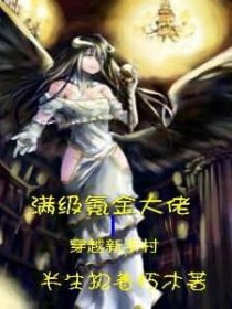 满级氪金大佬穿越新手村 满级氪金大佬穿越新手村