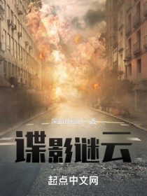 谍影谜云 谍影谜云