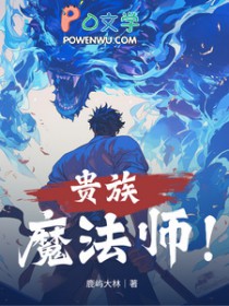 贵族魔法师 贵族魔法师