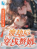 渡劫后穿成赘婿 渡劫后穿成赘婿