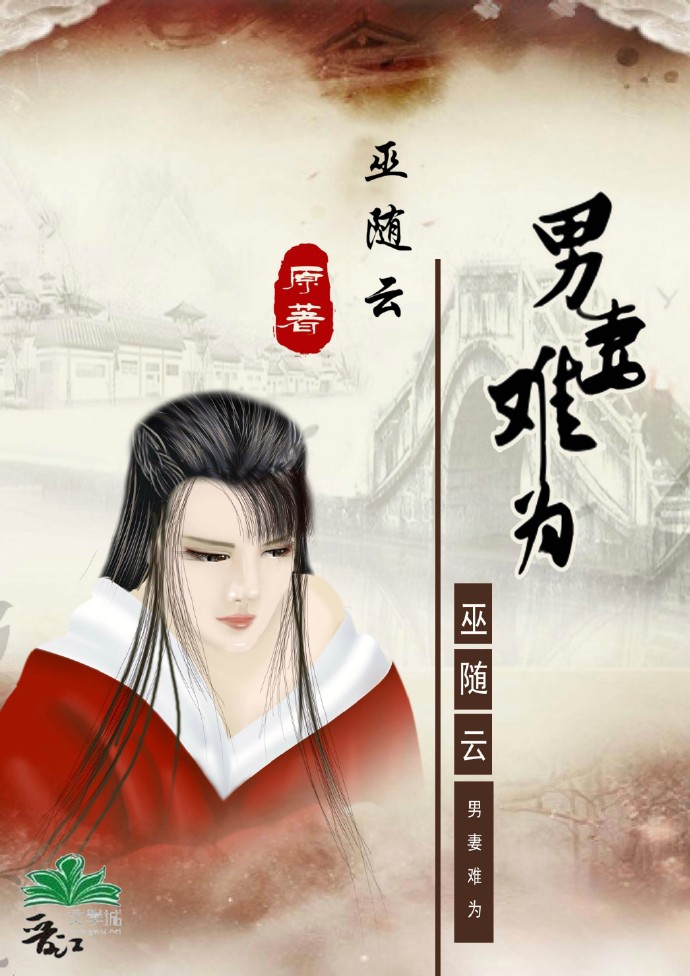 男妻难为 男妻难为