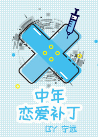 中年恋爱补丁 中年恋爱补丁