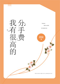 我有很高的分手费 我有很高的分手费