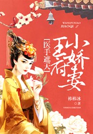 王府小娇妻,医手遮天 王府小娇妻,医手遮天