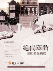 国服最强辅助,绝代双骄 国服最强辅助,绝代双骄