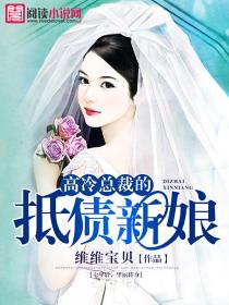 高冷总裁的抵债新娘 高冷总裁的抵债新娘