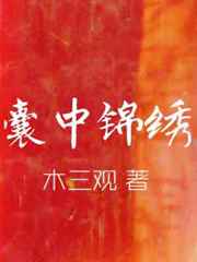 囊中锦绣 囊中锦绣