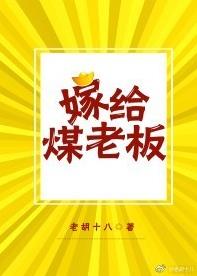 嫁给煤老板 嫁给煤老板