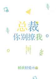 总裁,你别撩我 完结+番外 总裁,你别撩我 完结+番外