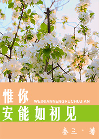 惟你安能如初见 惟你安能如初见