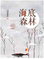 海底森林 海底森林