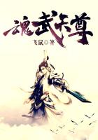 魂武天尊 魂武天尊