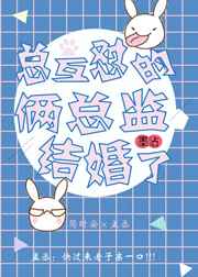 总互怼的俩总监结婚了 完结+番外 总互怼的俩总监结婚了 完结+番外