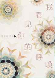 我看见你的呼唤 我看见你的呼唤