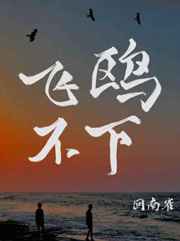 飞鸥不下 飞鸥不下