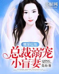 情深似海:总裁溺宠小盲妻 情深似海:总裁溺宠小盲妻