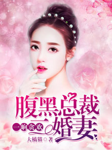 一晌贪欢:腹黑总裁二婚妻 一晌贪欢:腹黑总裁二婚妻