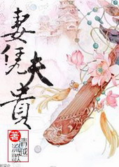 妻凭夫贵 妻凭夫贵