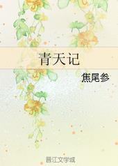 青天记 青天记