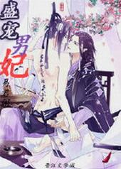 盛宠男妃 盛宠男妃