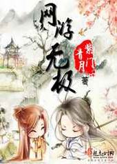 网游无极 完结+番外 网游无极 完结+番外