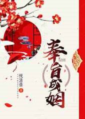 奉旨成姻 奉旨成姻