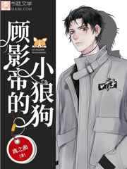 顾影帝的小狼狗 完结+番外 顾影帝的小狼狗 完结+番外