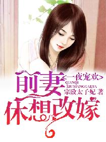 一夜宠欢:前妻,休想改嫁 一夜宠欢:前妻,休想改嫁