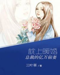 枕上暖婚:总裁的亿万前妻 枕上暖婚:总裁的亿万前妻