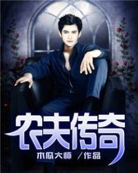 农夫传奇 农夫传奇