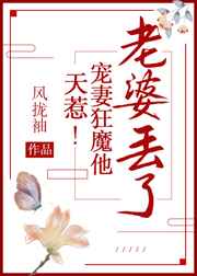 天惹!宠妻狂魔他老婆丢了! 天惹!宠妻狂魔他老婆丢了!